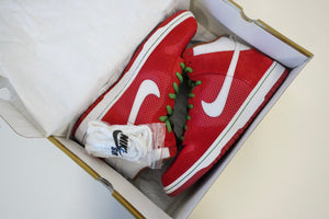 Nike SB Dunk High Big Gulp